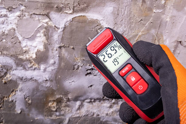 Trusted Ho Ho Kus, NJ Mold Removal Experts