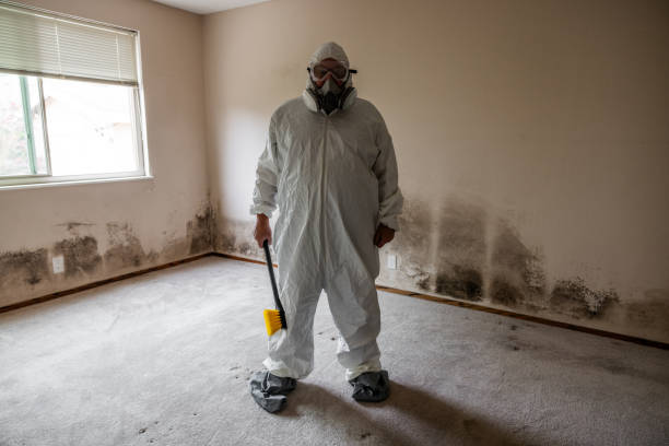 Best Professional Mold Removal  in Ho Ho Kus, NJ